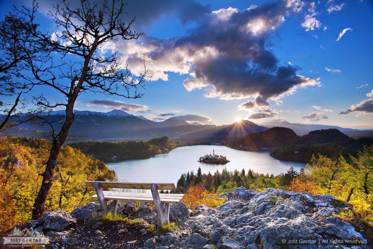 Vila Grad Bled - Sauna & Hot Tub Dış mekan fotoğraf